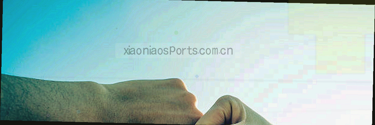 足球场草地俯视图叠加数据浮点，展现赛季数据汇总专题